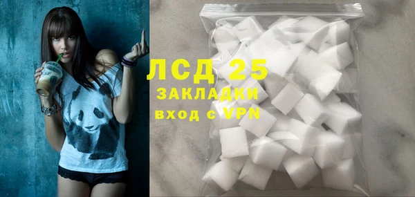 прущие крисы Бородино