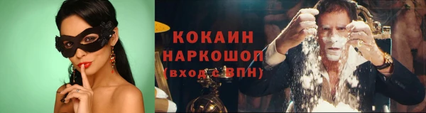 прущие крисы Бородино