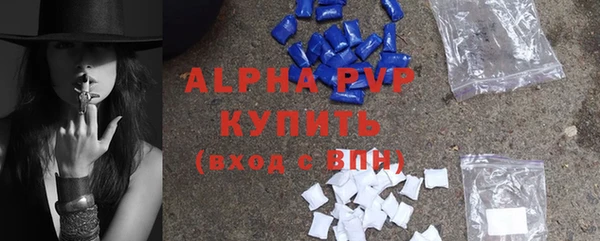 прущие крисы Бородино
