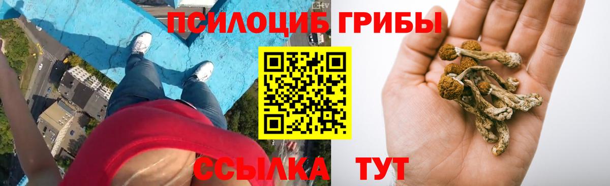 Минеральные Воды  Галлюциногенные грибы мухоморы  Вход с VPN  Галлюциногенные грибы прущие грибы 