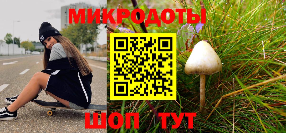 Галлюциногенные грибы Cubensis Минеральные Воды